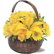 Yellow Ball (Curated)